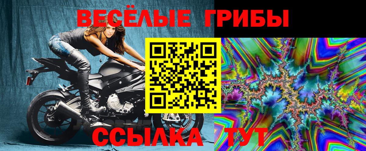 Минеральные Воды  Псилоцибиновые грибы Psilocybine cubensis  Вход с VPN 
